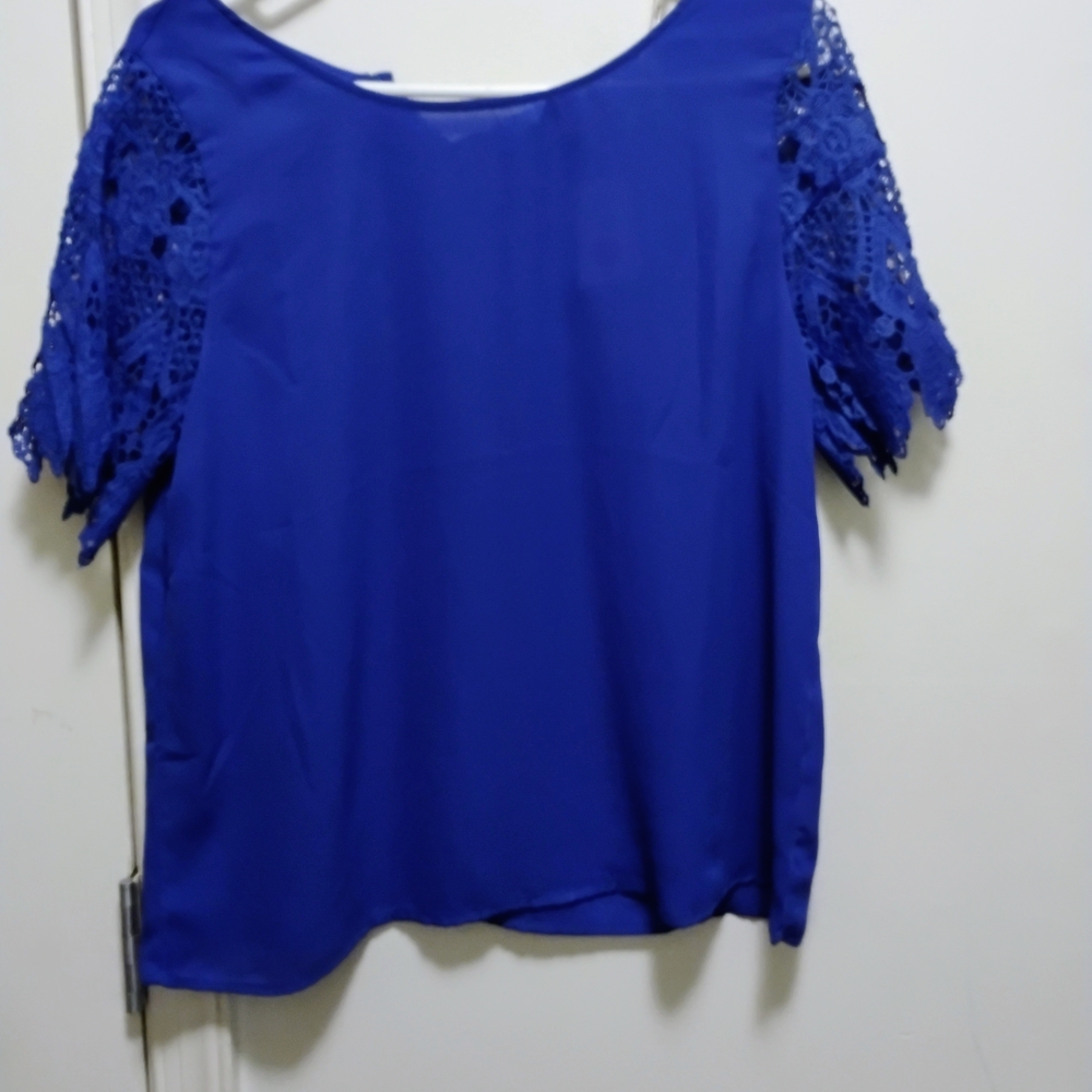 Elegant Blue Lace Sleeve Women's Top